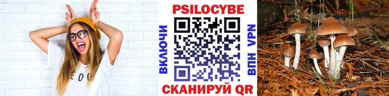 сколько стоит  Янаул  Псилоцибиновые грибы Cubensis 